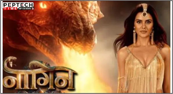 entertainment entertainment